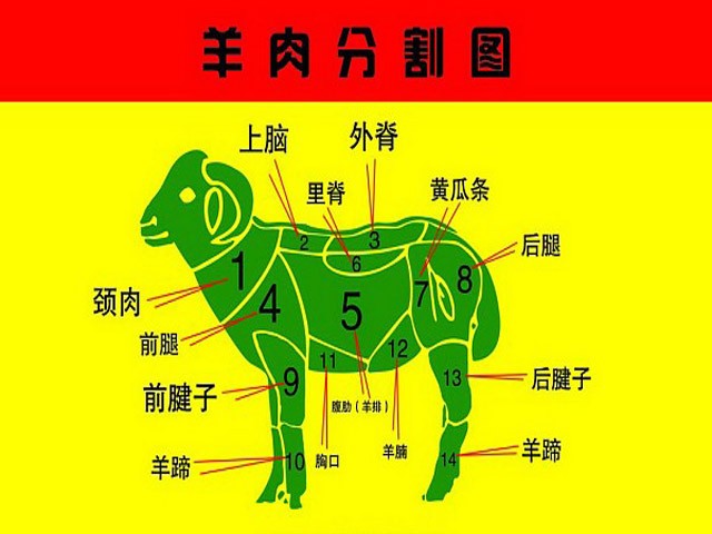 羊肉分割图